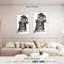 Raton laveur Brampt-108552066