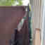 Photos des clients 3 de 5