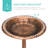 Bird Bath-809425116