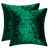 Vert foncé