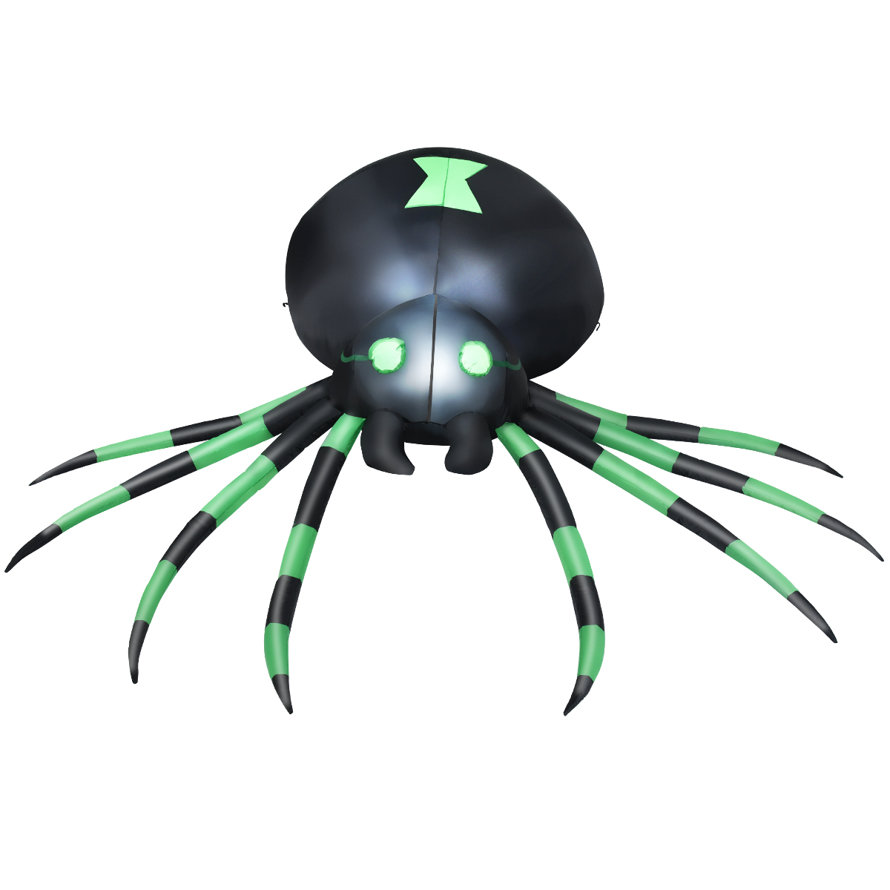 Spiders