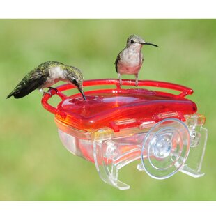 Mangeoire à colibris en verre pincé à la taille, 16 onces, de Perky-Pet 
