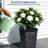 2-Pack 22.7 Inch Black Tall Rectangular Planters