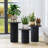 Ensemble de tables basses 3 pièces Azueta-2135136690