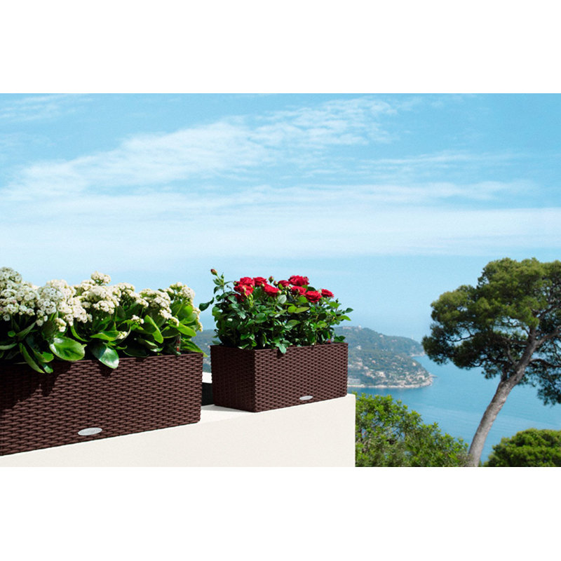 Balconera Window Box Planter, 19 cm H x 50 cm W x 19 cm D, Mocha