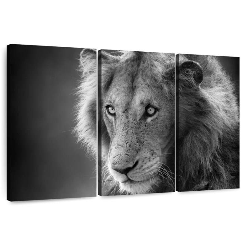Brampt Monochromatic Wild Lion, 20" H x 33" W