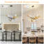 Lustre Ginkgo-666105231-666105228