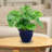 Ailynn Round Imperial Ceramic Outdoor Planter-1857609944-1857609945