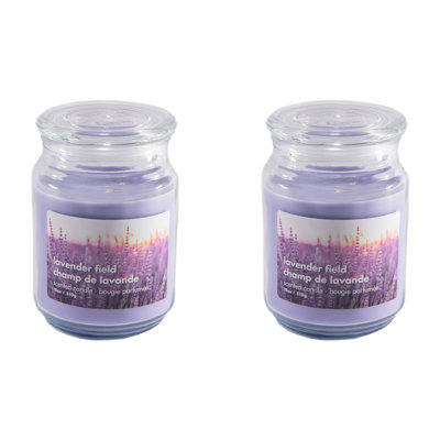 Haight 18 Oz Scented Jar With Glass Lid Lavender Field - Set Of 2