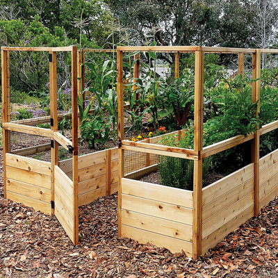Jardin en cèdre avec clôture en cerf l 8 pi x P 12 pi