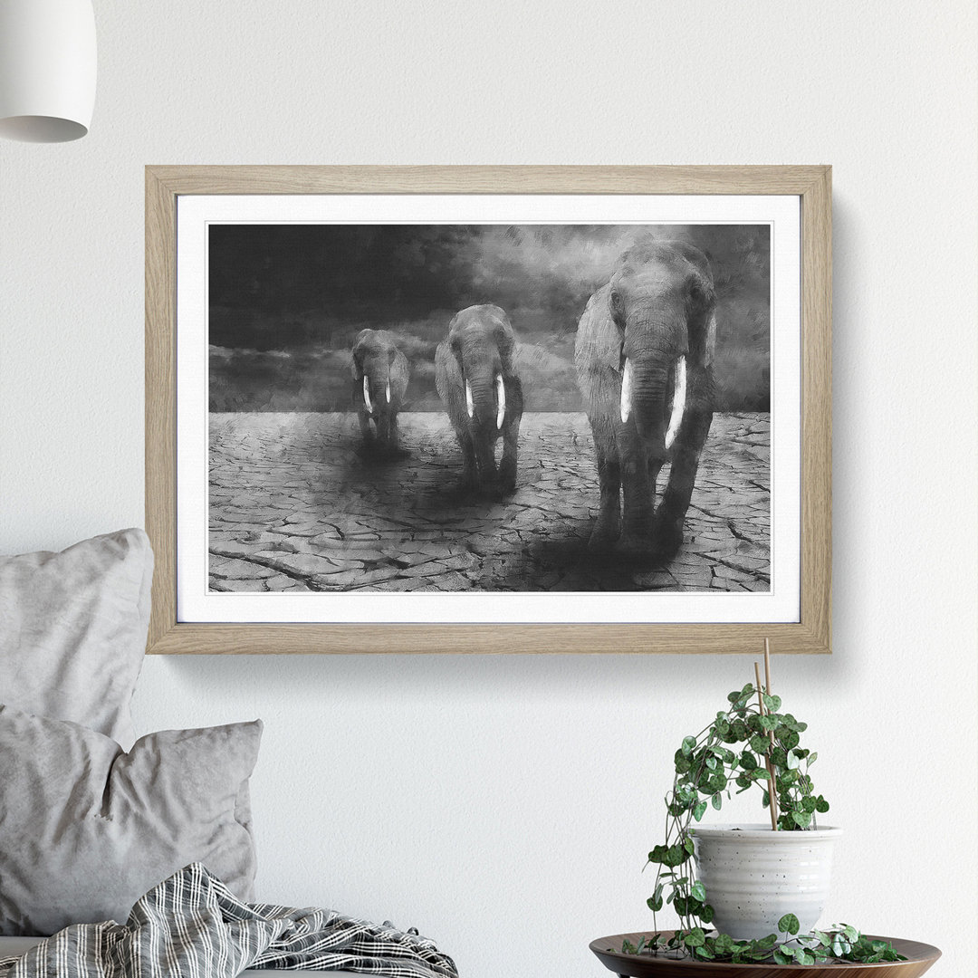 Three Elephants - Picture Frame Graphic Art