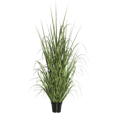 Ray-vert en pot artificiel