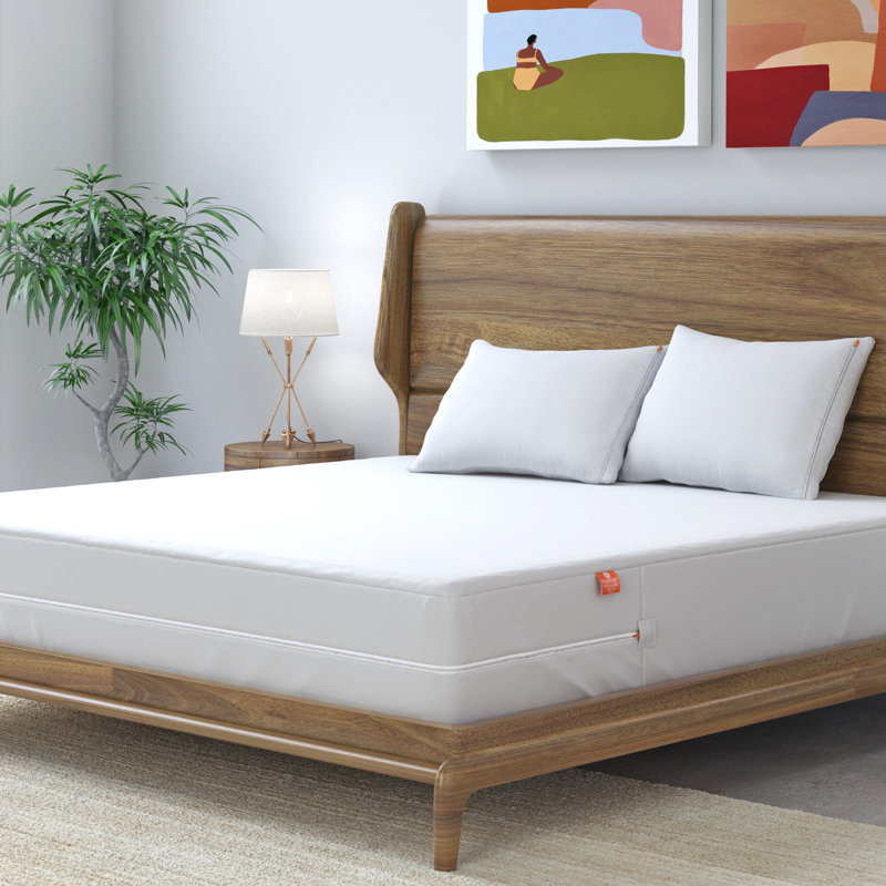 Sleep Defense System Zippered  Bedbug Proof Dust Mite Proof Box Spring Encasement , Queen