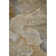 Premium Machine Washable Cerrito AMF517 Brown Rug