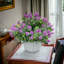 Arrangement de bébé en pot-887932958