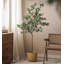 Arbre d'intérieur Simulation Eucalyptus