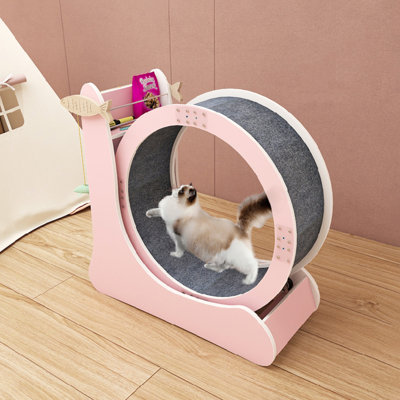 Dailan Cat Exercise Running Wheel Treadmill with Scratching Post