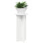 Plant Stand-53245886-53245787