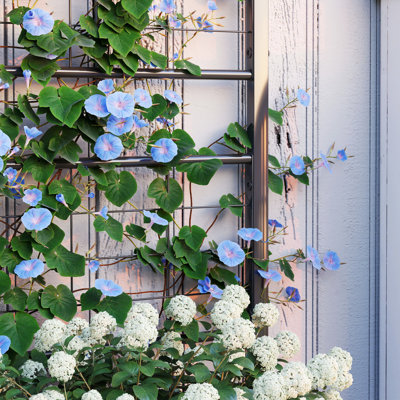 Galvanized Raised Garden Bed with Trellis