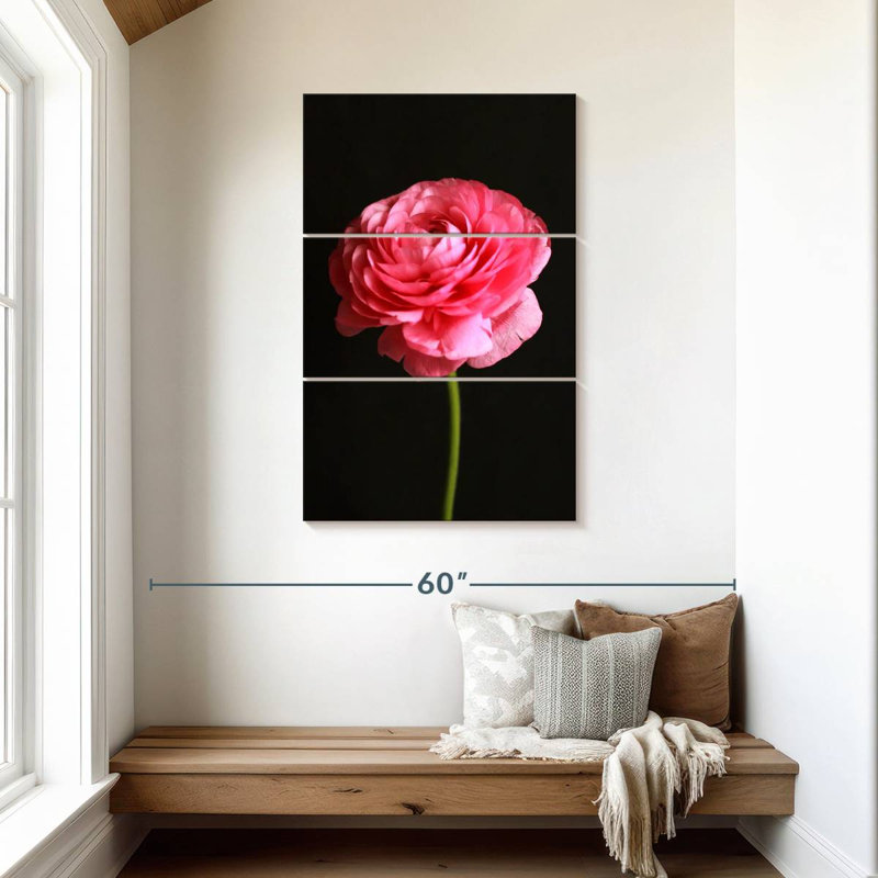 Renoncule rose moelleux Harnek, H 45 po x l 28 po