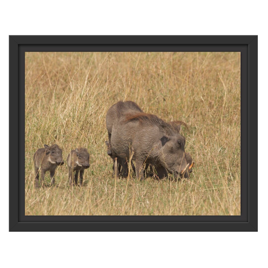 Gerahmtes Wandbild Warzenschweinfamilie Savanne