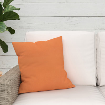  Indoor/Outdoor Throw Pillow