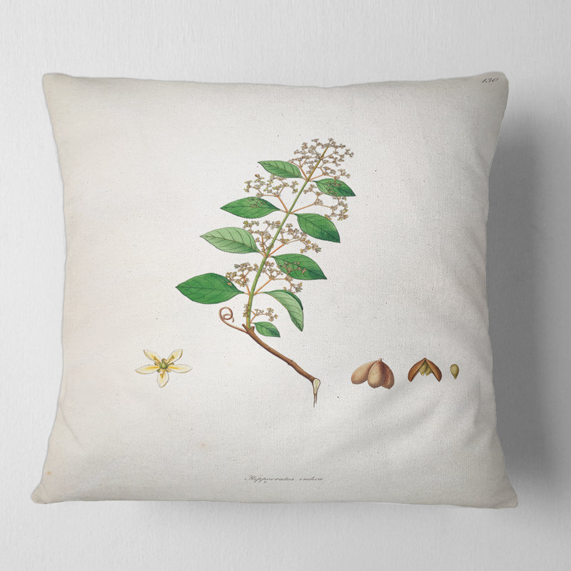 Housse et insert d'oreiller carré Botanicals I, 16" x 16"