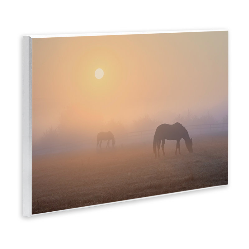 Art mural Misty Sunlit Horses par Marty Hulsebos, H 10 po x l 15 po