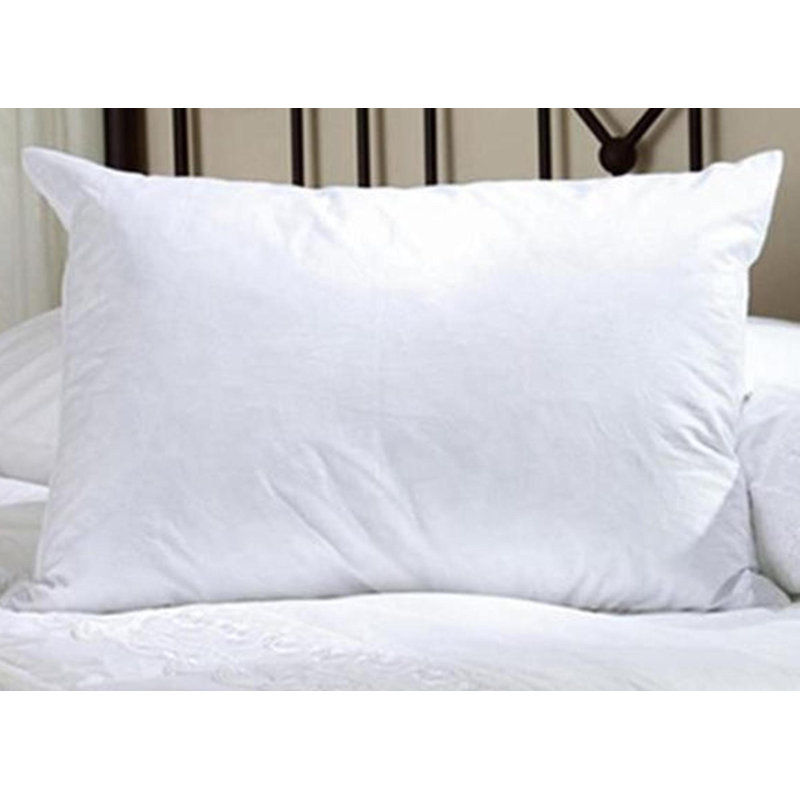 Coussin Leoniida, Standard