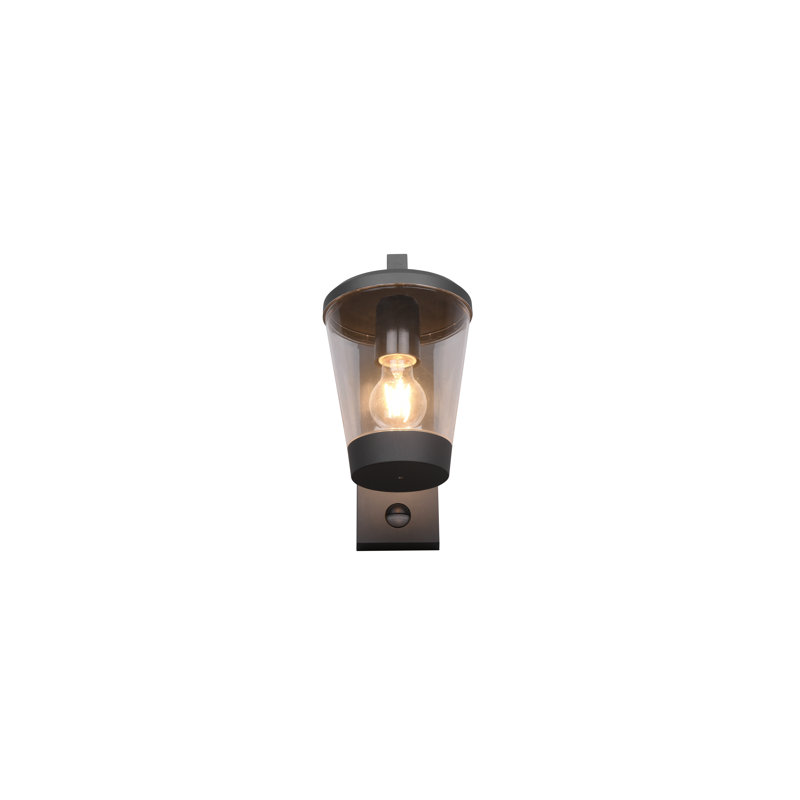 Evelore Outdoor Armed Sconce