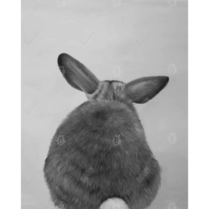 " Little Rabbit From Behind "
