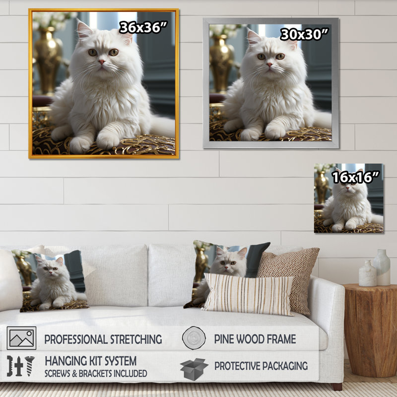 Exotic Shorthair Elegance Cat - impressions sur toile de chat, H 30 po x l 30 po x P 1 po, Cadre flottant blanc