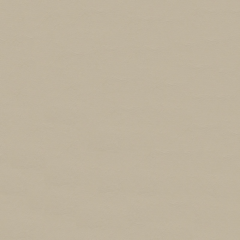 Tissu Zander, Parchemin