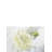 Raelynn Foam Lillies Arrangement
