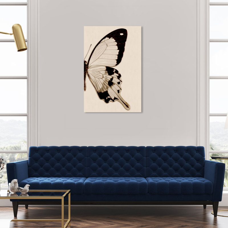 " Animals Sepia Butterfly II Insects ", Wrapped Canvas, 36" H x 24" W x 1.5" D