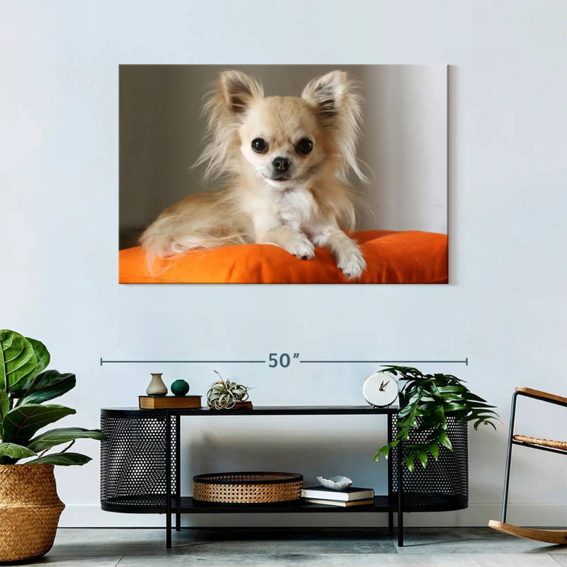 Crowhu Chihuahua sur un oreiller, H 30 po x l 45 po