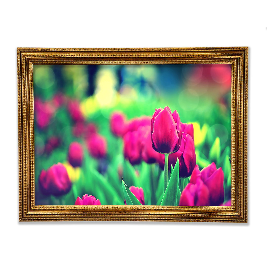 Cerise Tulip Garden - Druck