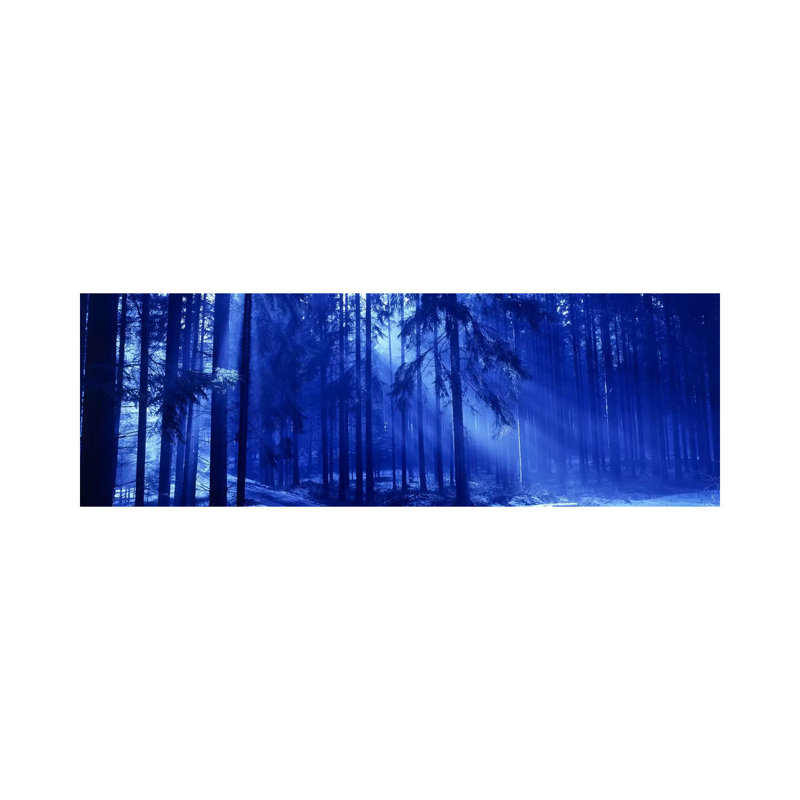Trees Titisee Germany - Wrapped Canvas Panoramic Print, 30.48 cm H x 91.44 cm W x 1.91 cm D