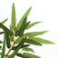 Faux Bamboo Tree in Pot-2023576503