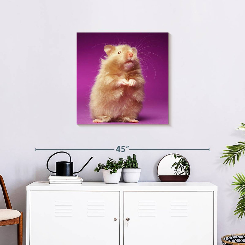 Ketti Fluffy Hamster, 24" H x 24" W
