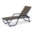 Outdoor Rust-Resistant Metal Chaise Lounge-48934641-19510283