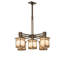 Englehart 5 - Light Chandelier