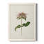 Mauve jardin fleurs V, toile encadrée de qualité supérieure - prête à être accrochée-1872424374-1872424373