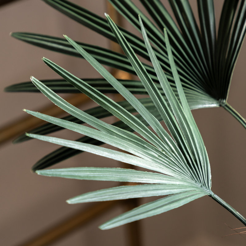Potted Statement Palm 1580mm