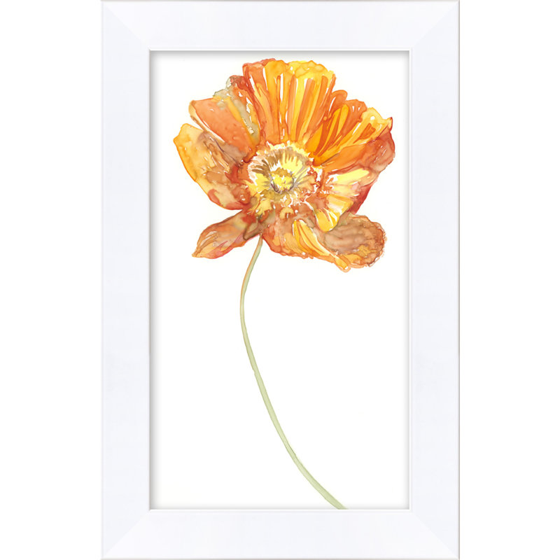 Cali Collection 15 Print by Nathan Turner