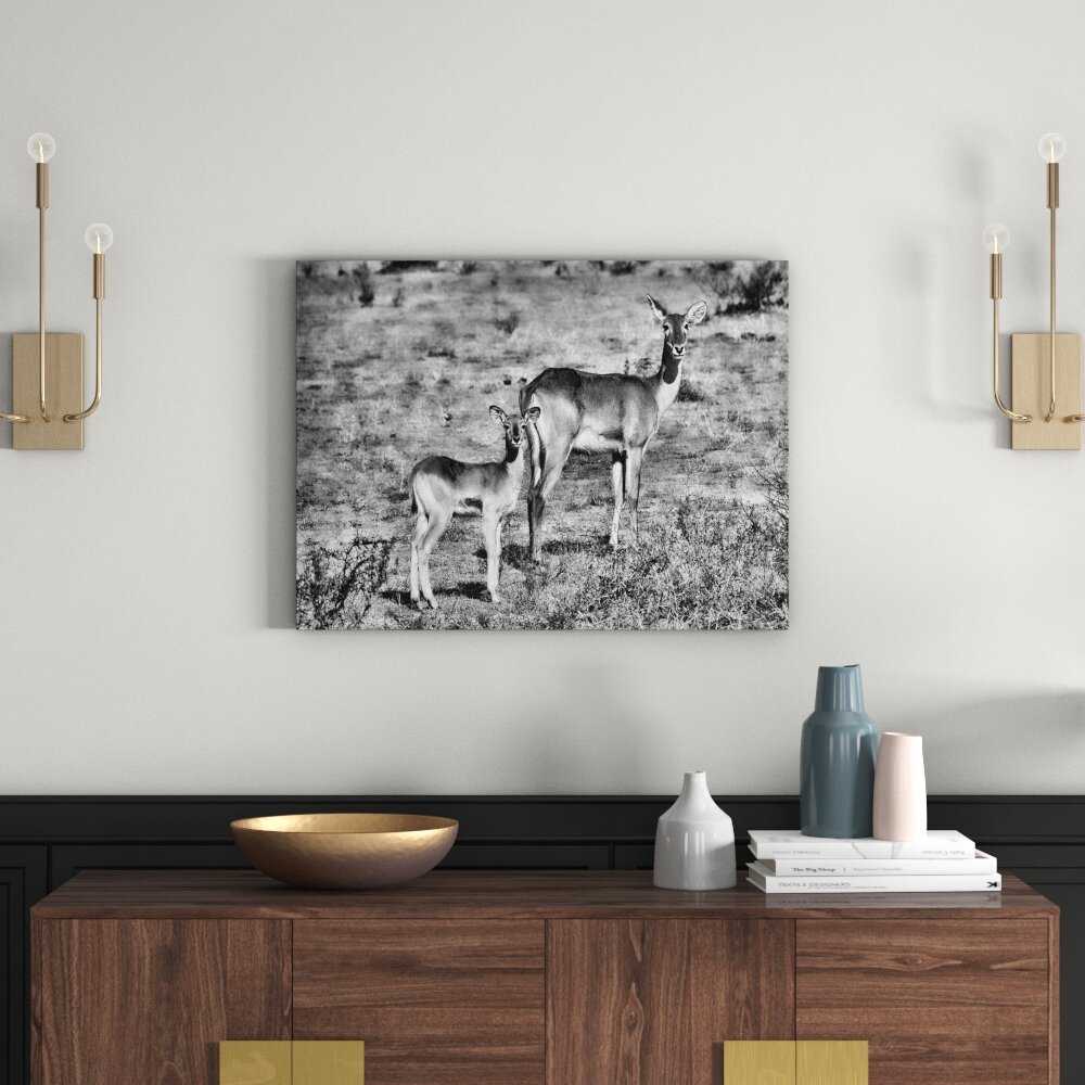 Leinwandbild Weibliche Indische Gazelle mit Jungtier in Monochrom