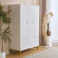3 Door Manufactured Wood Wardrobe-2021069889