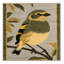  Tapis lavable européen Greenfinch Birds-1198037178