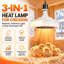 Lampe chauffante 3 en 1 pour poussins avec télécommande, chauffage de couveuse 400 W avec lumière et ventilateur, 2 modes de chauffage, minuterie 1 h/2 h/4 h, 6 températures de couleur réglables, lampe chauffante pour poussins, volailles, chiens, chats et petits animaux de compagnie