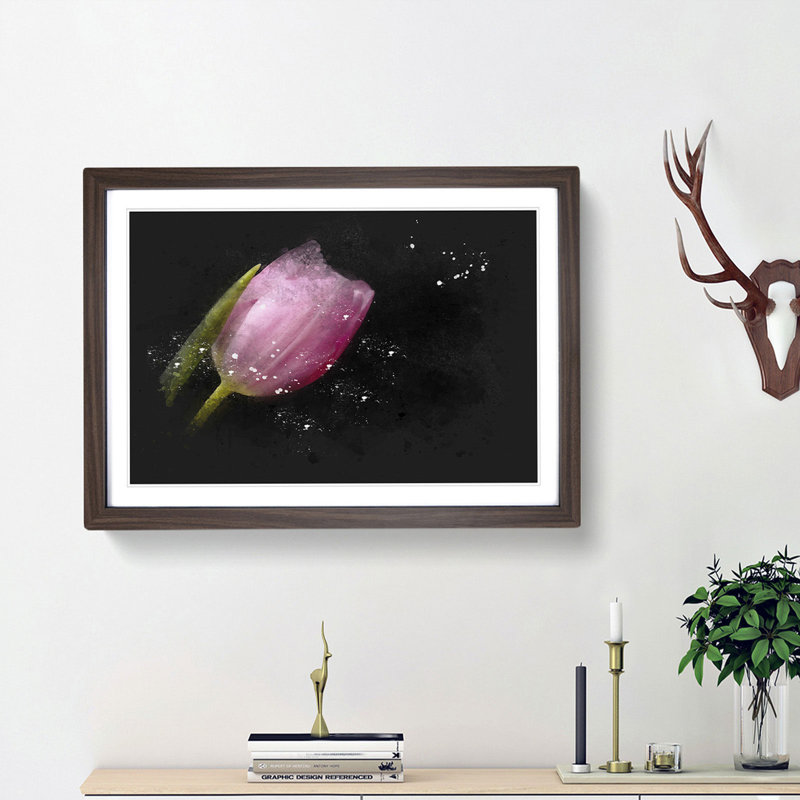 Pale Pink Tulip - Picture Frame Graphic Art Print, 62cm H x 87cm W x 2cm D, Walnut Framed
